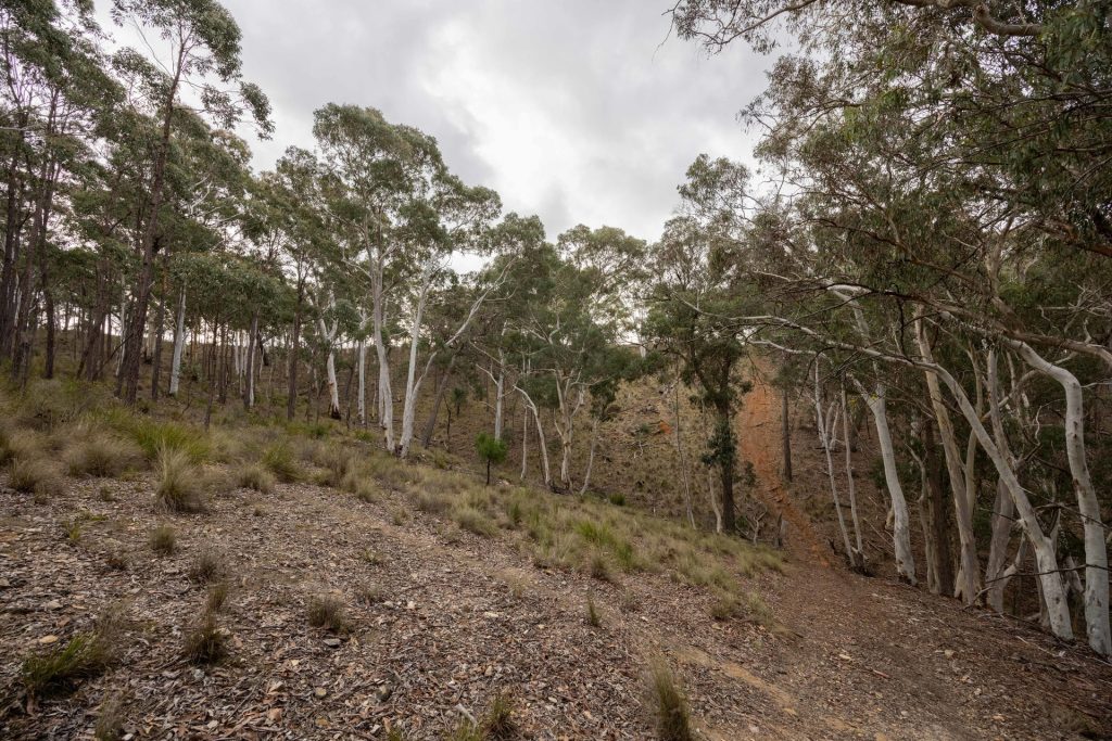 Sold -  Lot 147, 1093 Pyramul Road - New Property in Mudgee - Real Estate by Hamish Rowe