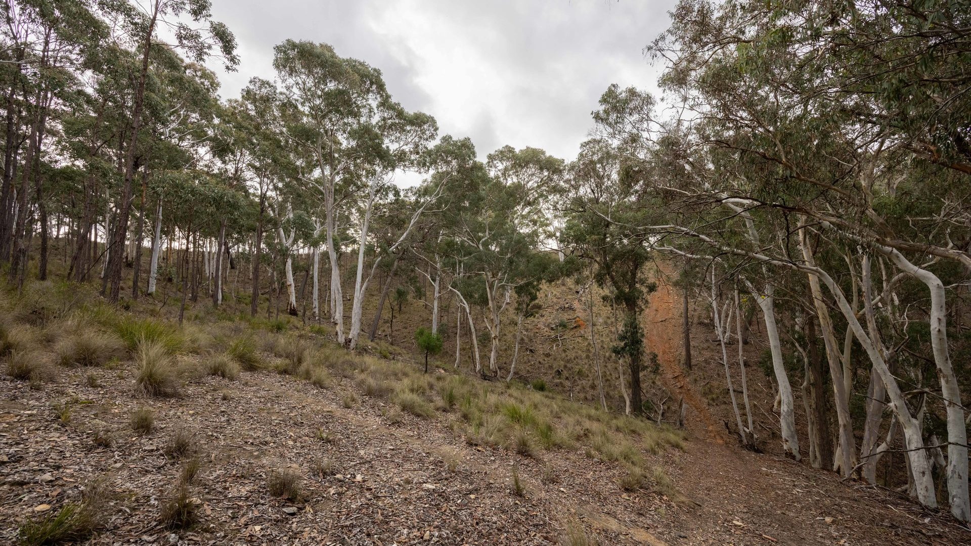 Sold -  Lot 147, 1093 Pyramul Road - New Property in Mudgee - Real Estate by Hamish Rowe