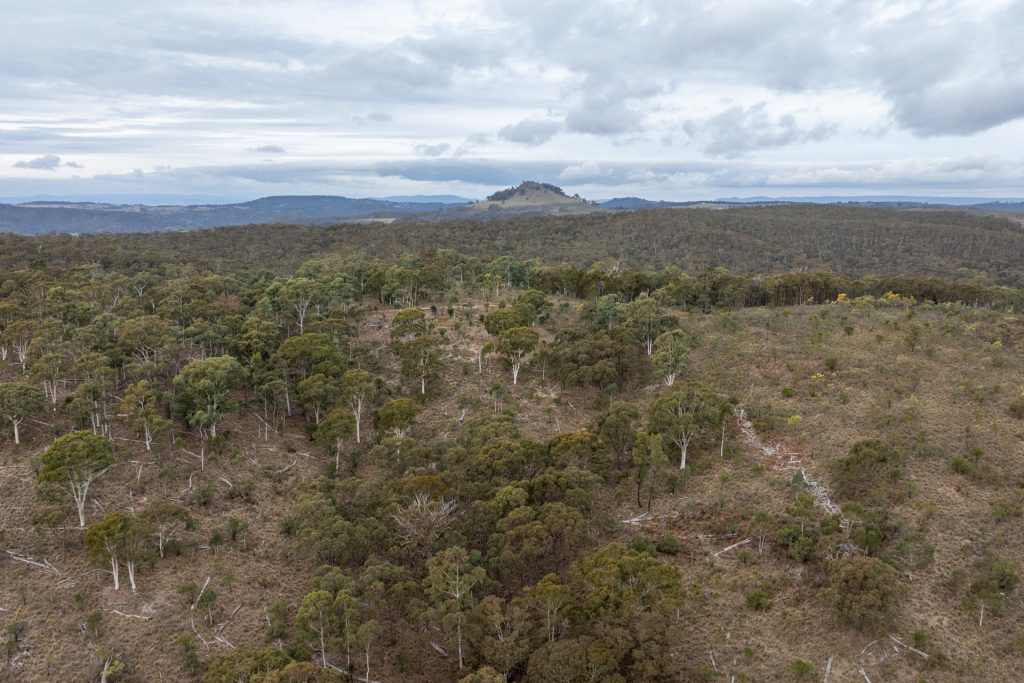 Sold -  Lot 147, 1093 Pyramul Road - New Property in Mudgee - Real Estate by Hamish Rowe