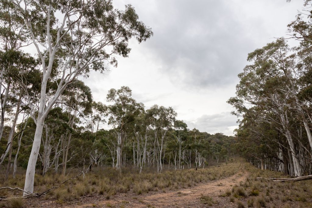 Sold -  Lot 147, 1093 Pyramul Road - New Property in Mudgee - Real Estate by Hamish Rowe