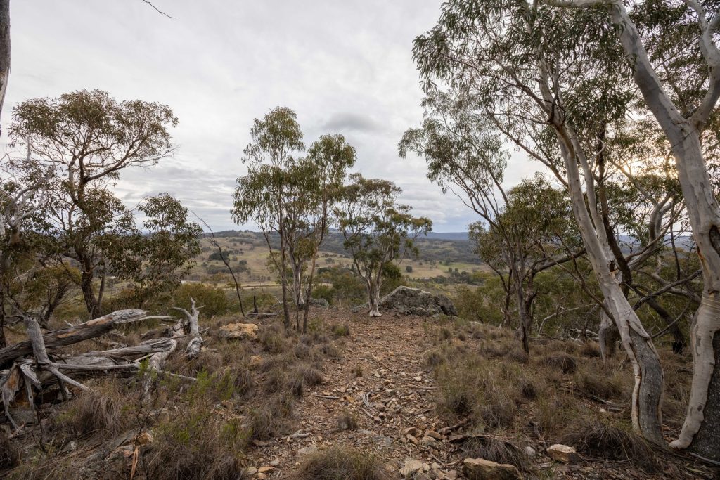 Sold -  Lot 71, 1093 Pyramul Road - New Property in Mudgee - Real Estate by Hamish Rowe