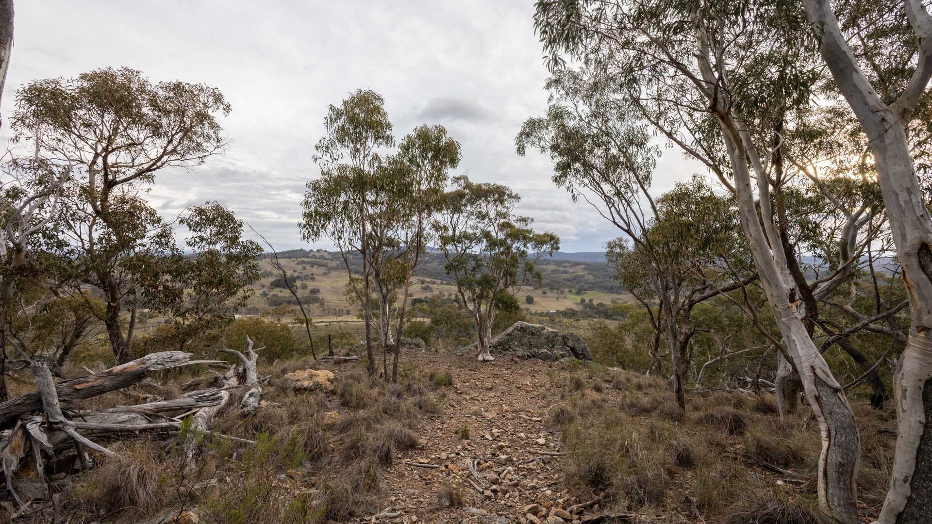 Sold -  Lot 71, 1093 Pyramul Road - New Property in Mudgee - Real Estate by Hamish Rowe