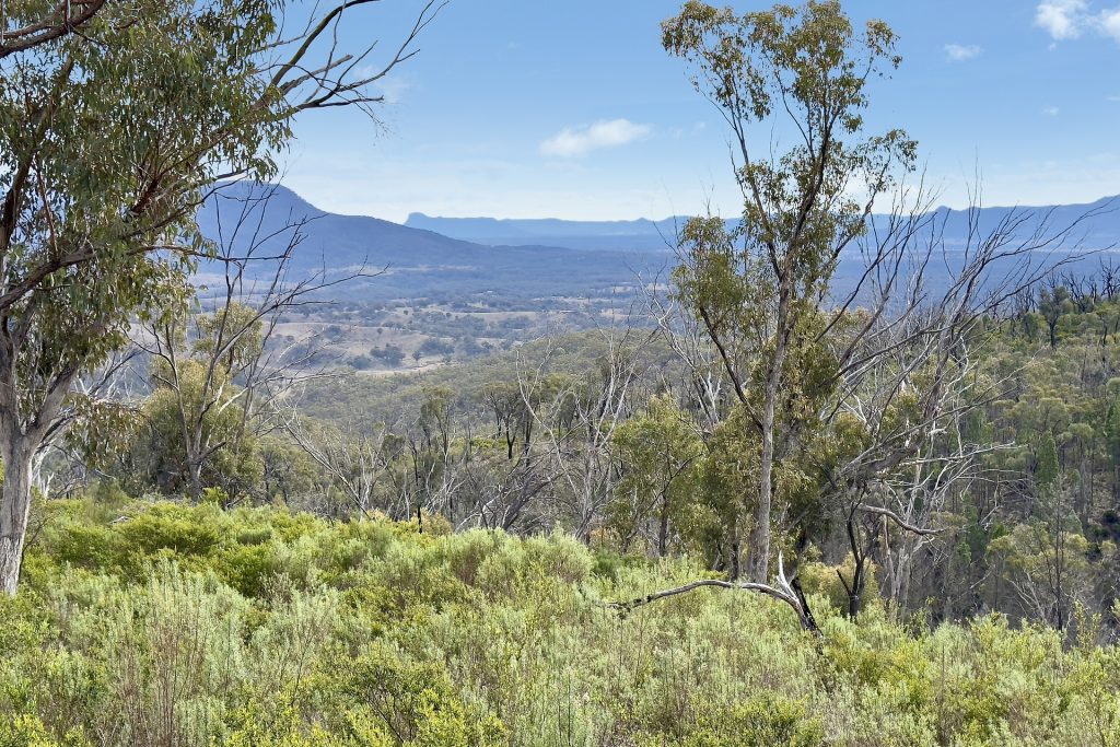 Sold - 88 Mortimers Road - New Property in Glen Davis - Real Estate by Stewart Adlington