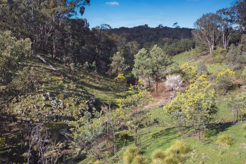 Sold - 6071 Ilford Sofala Road - New Property in Mudgee - Real Estate by Stewart Adlington