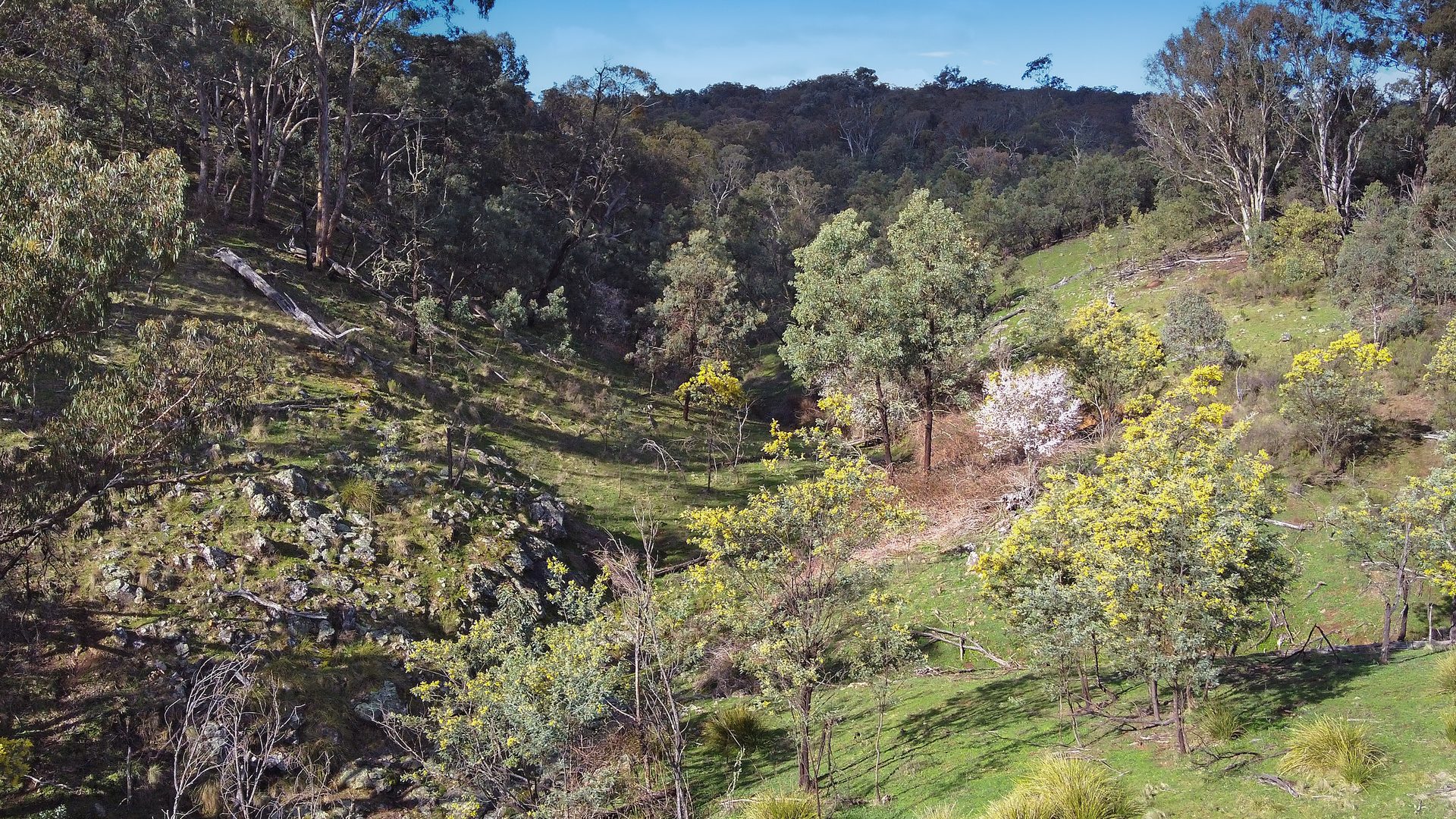 Sold - 6071 Ilford Sofala Road - New Property in Mudgee - Real Estate by Stewart Adlington