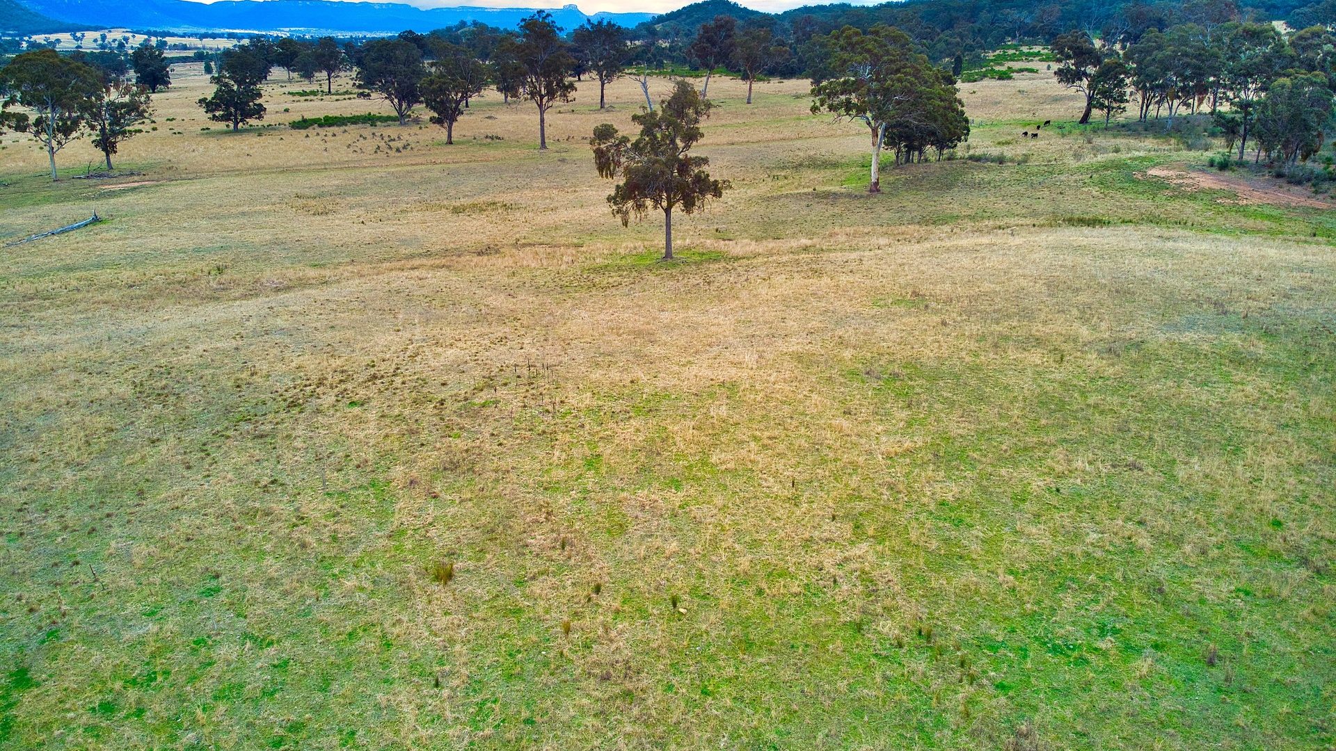 Sold - 389 Upper Nile Road - New Property in Rylstone - Real Estate by Stewart Adlington