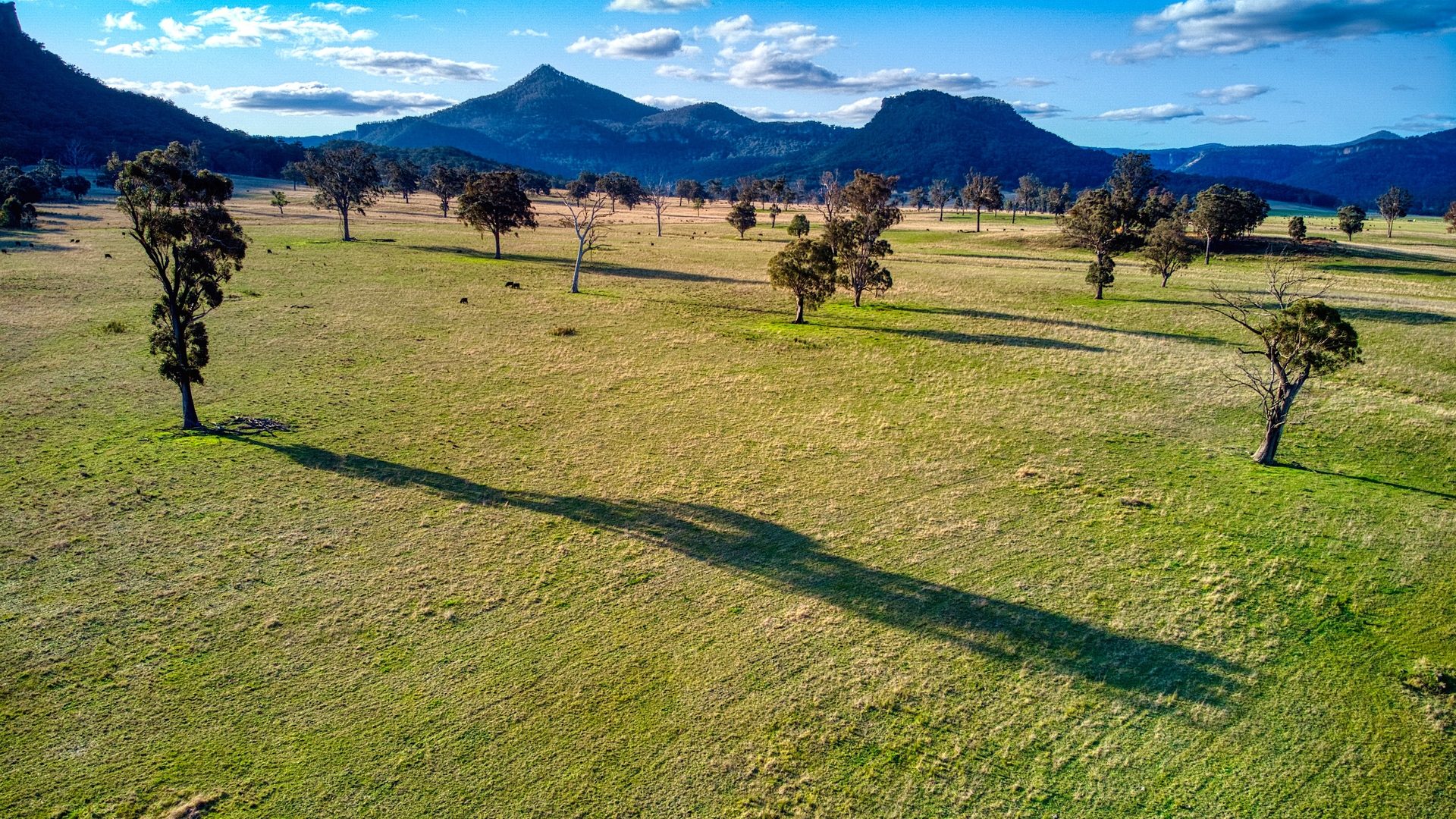 Sold - 389 Upper Nile Road - New Property in Rylstone - Real Estate by Stewart Adlington