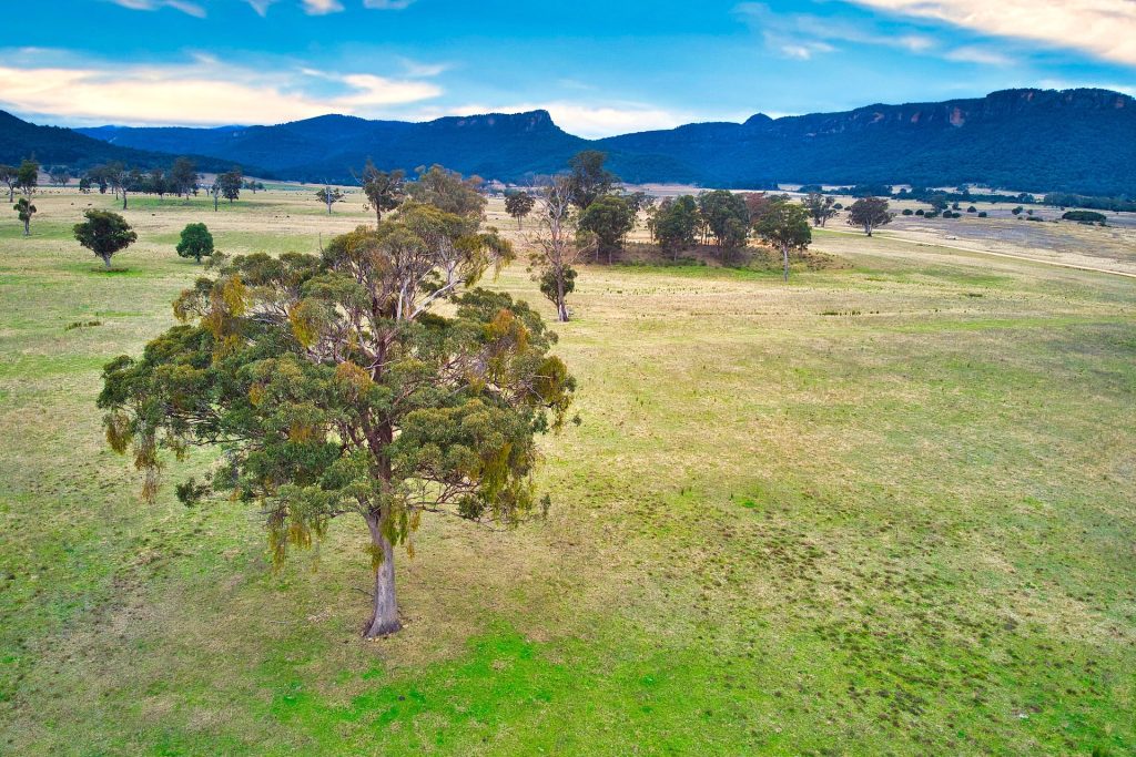 Sold - 389 Upper Nile Road - New Property in Rylstone - Real Estate by Stewart Adlington