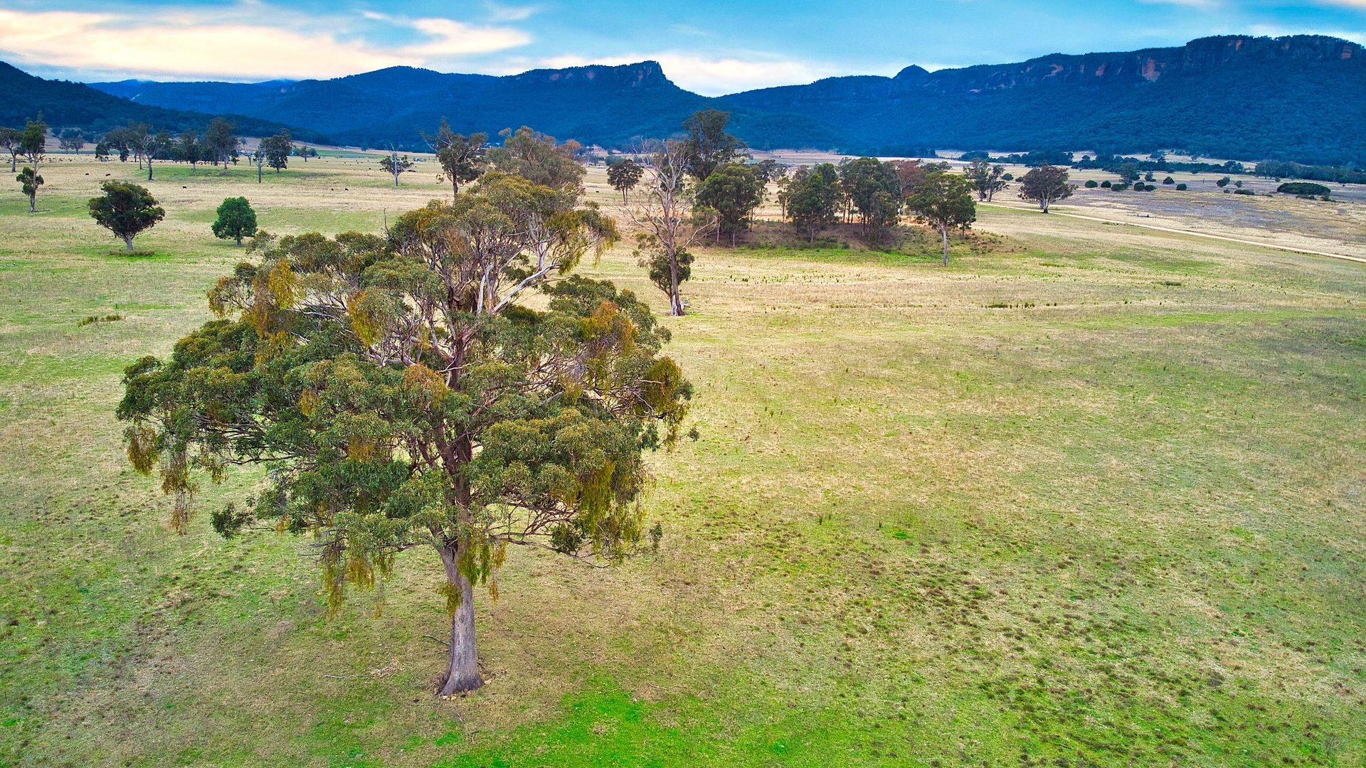 Sold - 389 Upper Nile Road - New Property in Rylstone - Real Estate by Stewart Adlington