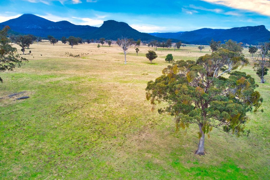 Sold - 389 Upper Nile Road - New Property in Rylstone - Real Estate by Stewart Adlington
