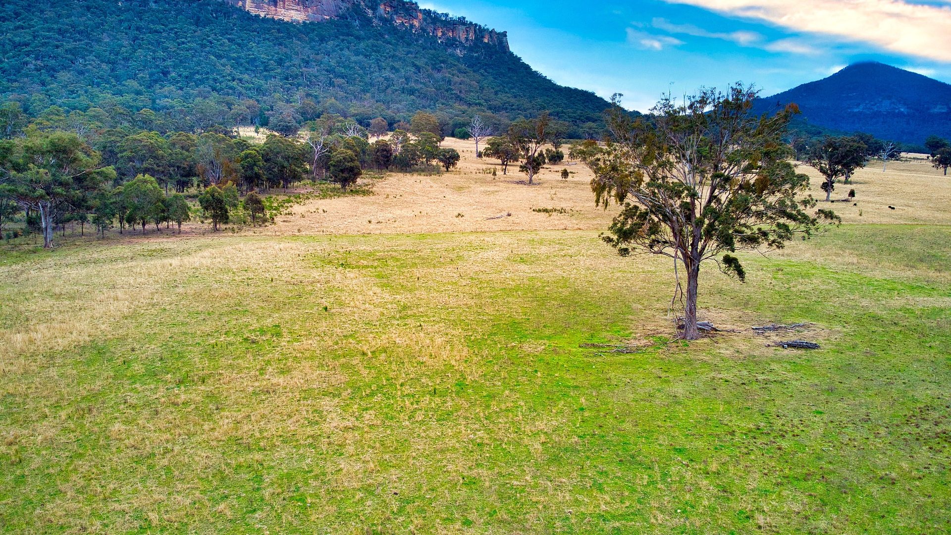 Sold - 389 Upper Nile Road - New Property in Rylstone - Real Estate by Stewart Adlington