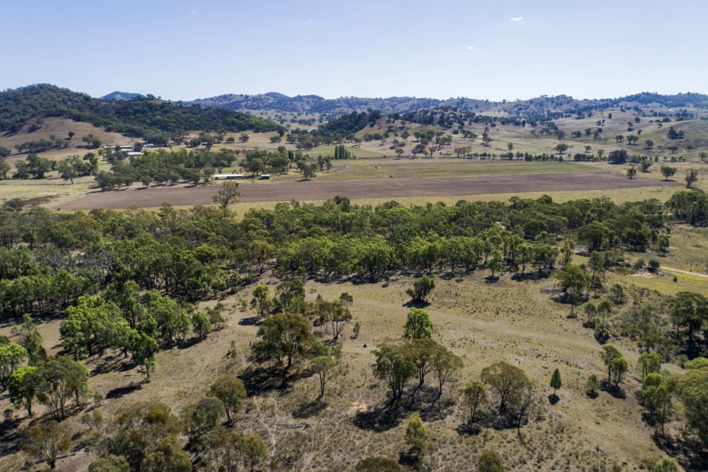 Sold - 1625 Hill End Road - New Property in Mudgee - Real Estate by Hamish Rowe