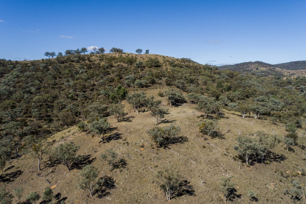 Sold - 1625 Hill End Road - New Property in Mudgee - Real Estate by Hamish Rowe