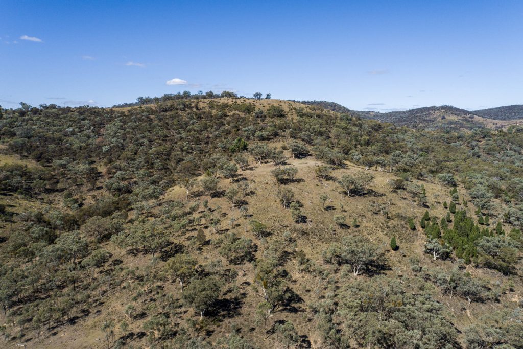 Sold - 1625 Hill End Road - New Property in Mudgee - Real Estate by Hamish Rowe