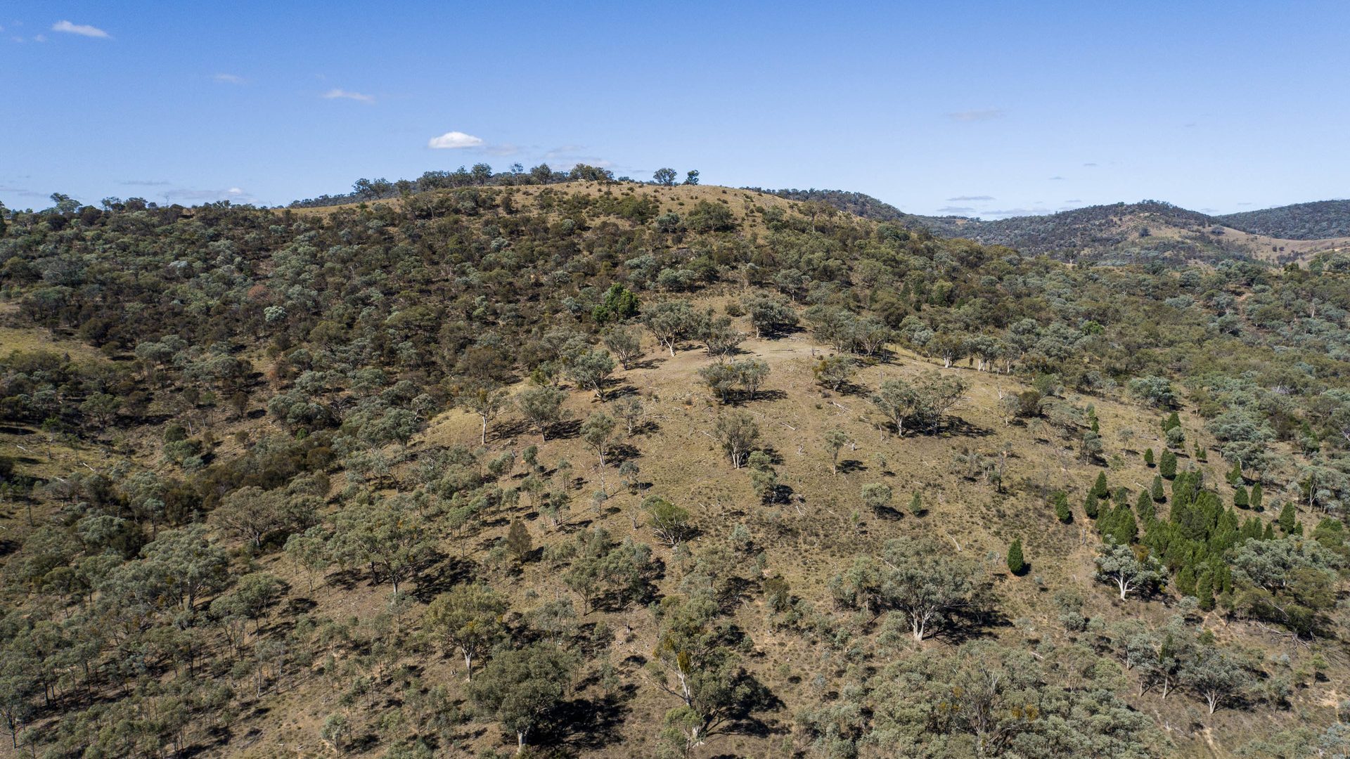 Sold - 1625 Hill End Road - New Property in Mudgee - Real Estate by Hamish Rowe
