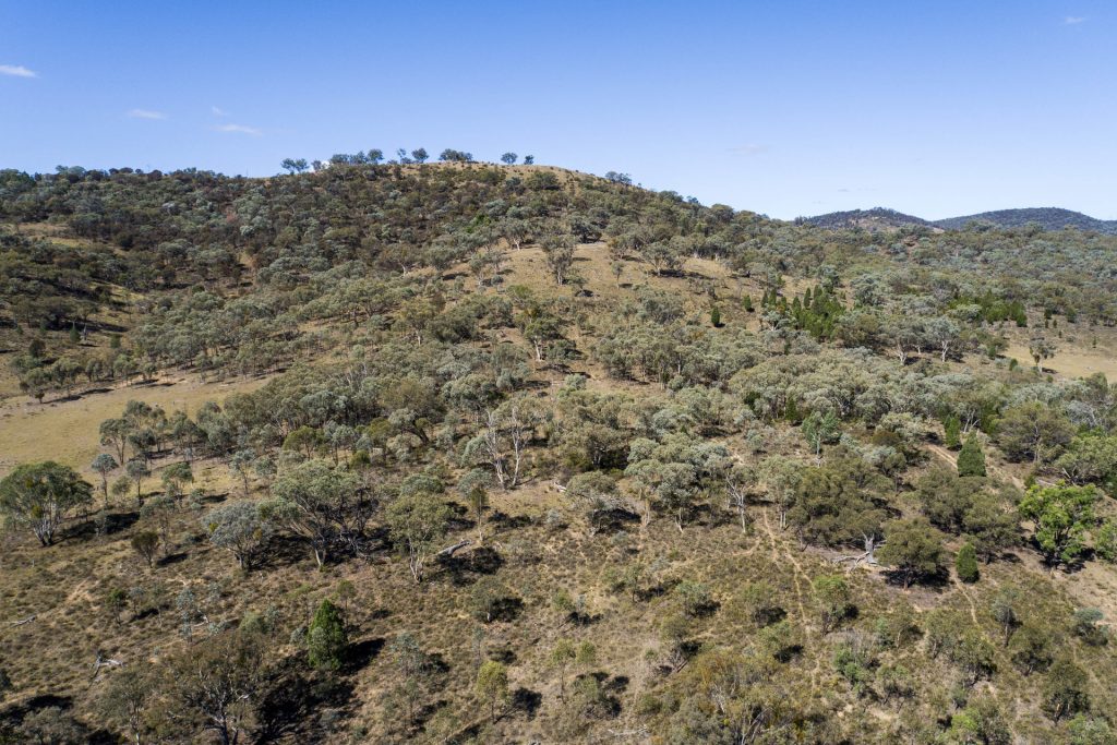 Sold - 1625 Hill End Road - New Property in Mudgee - Real Estate by Hamish Rowe