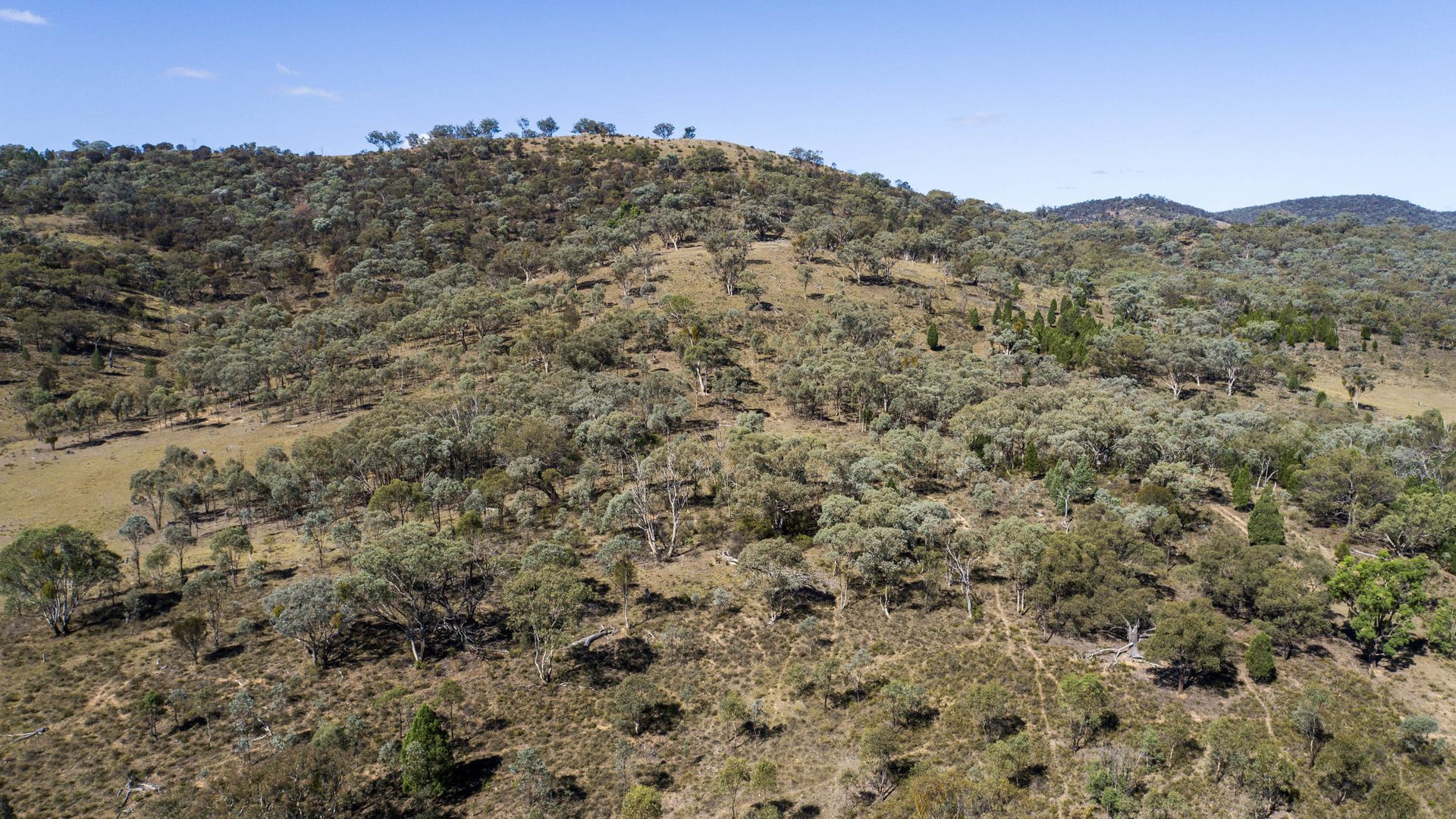 Sold - 1625 Hill End Road - New Property in Mudgee - Real Estate by Hamish Rowe