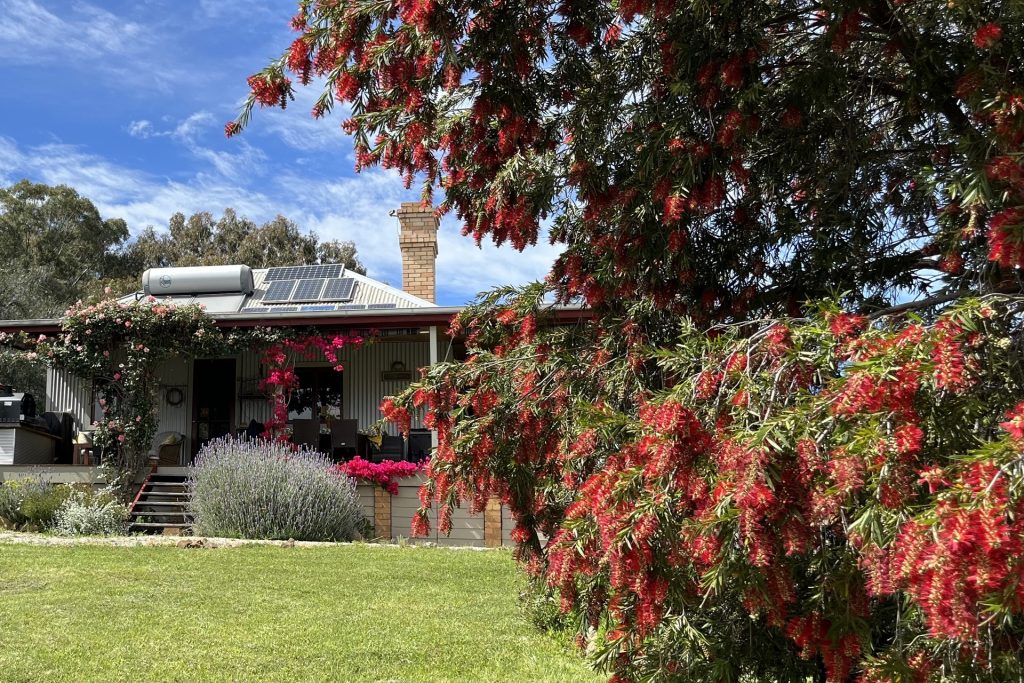 Sold - 107 Rockford Lane - New Property in Mudgee - Real Estate by Adam Woods