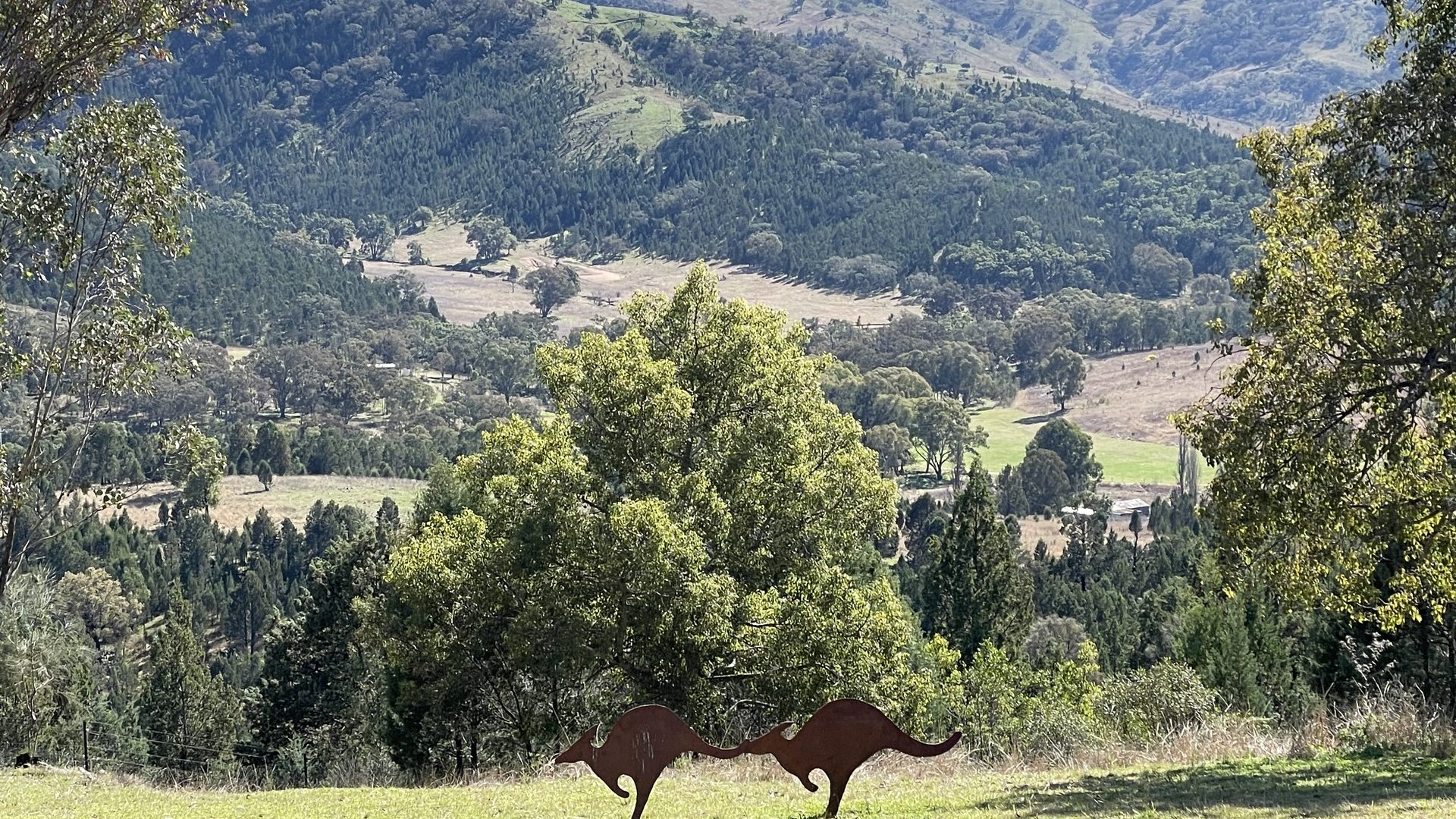 Sold - 107 Rockford Lane - New Property in Mudgee - Real Estate by Adam Woods