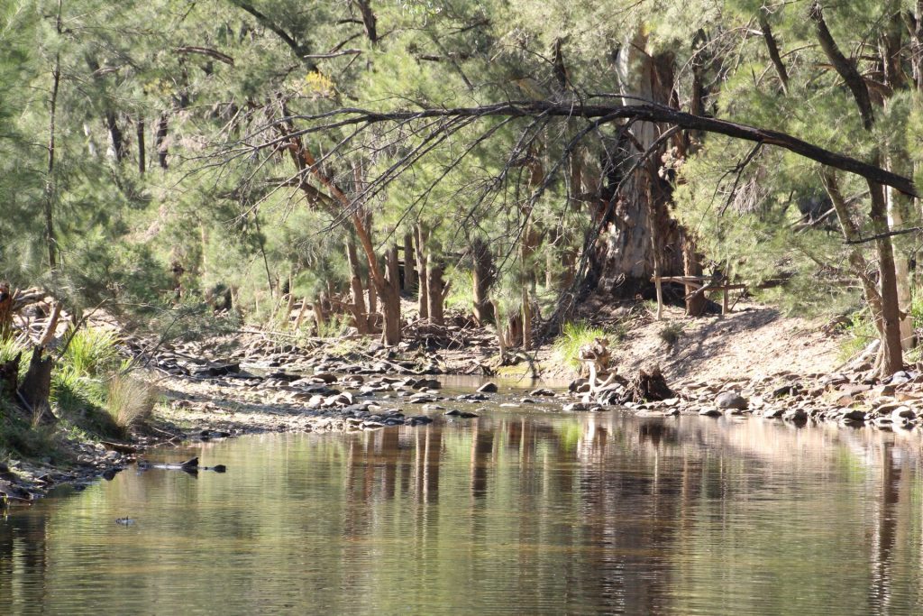 Sold - 107 Rockford Lane - New Property in Mudgee - Real Estate by Adam Woods
