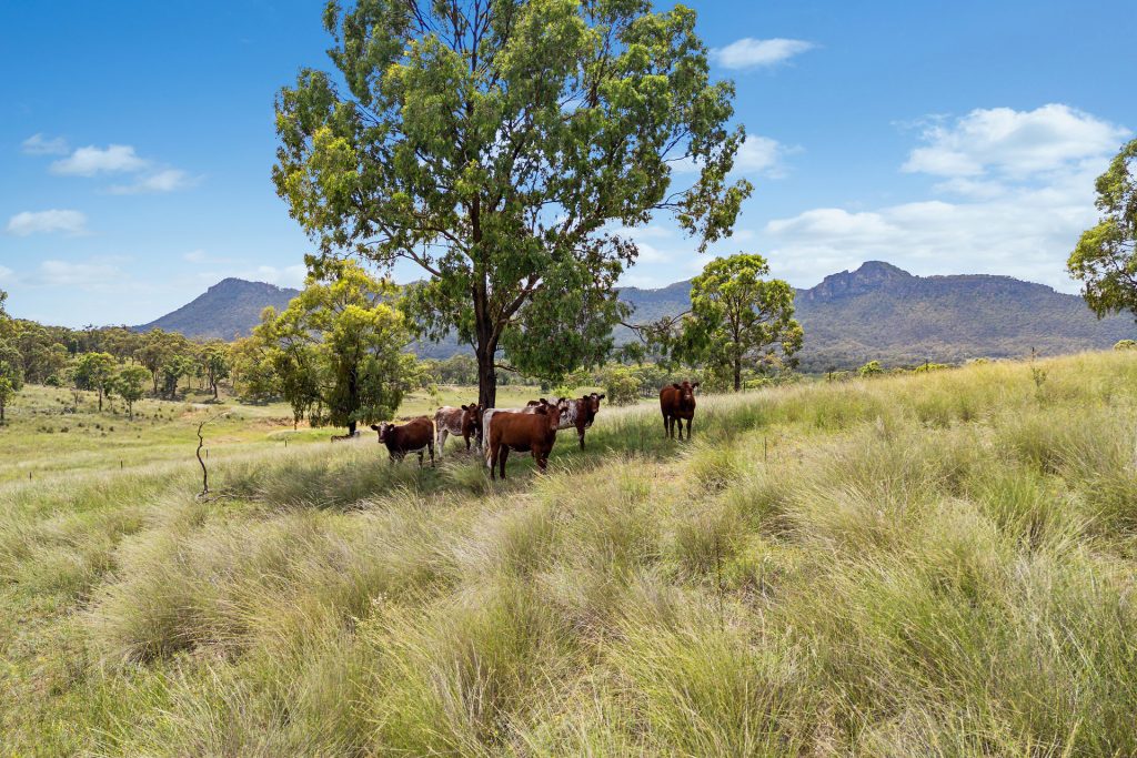 Sold - 3022 Glen Alice Road - New Property in Rylstone - Real Estate by Stewart Adlington