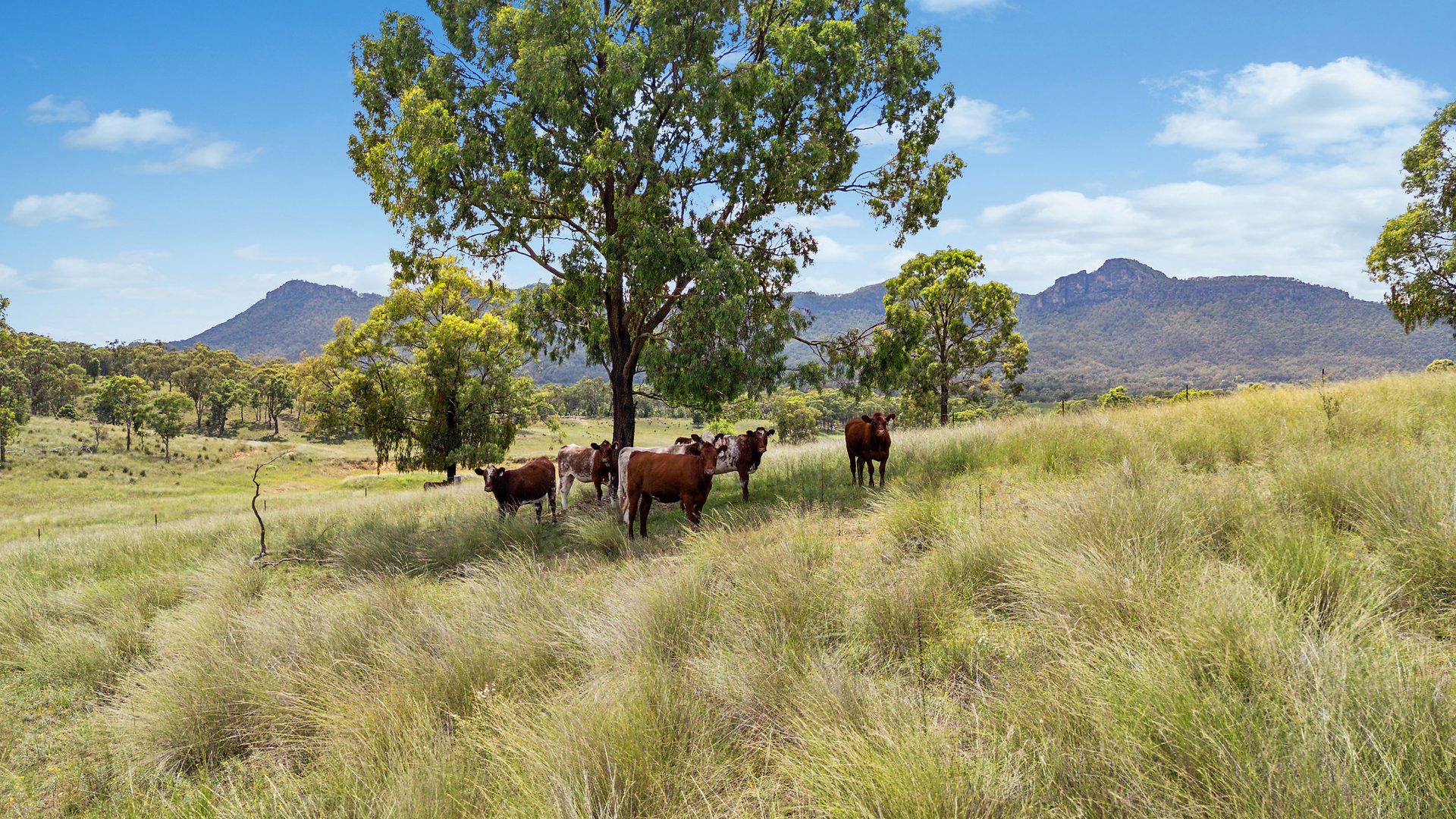 Sold - 3022 Glen Alice Road - New Property in Rylstone - Real Estate by Stewart Adlington