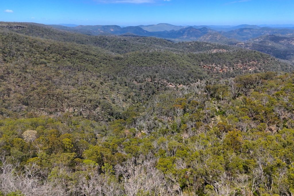 Sold - 2515 Nullo Mountain Road - New Property in Rylstone - Real Estate by Stewart Adlington
