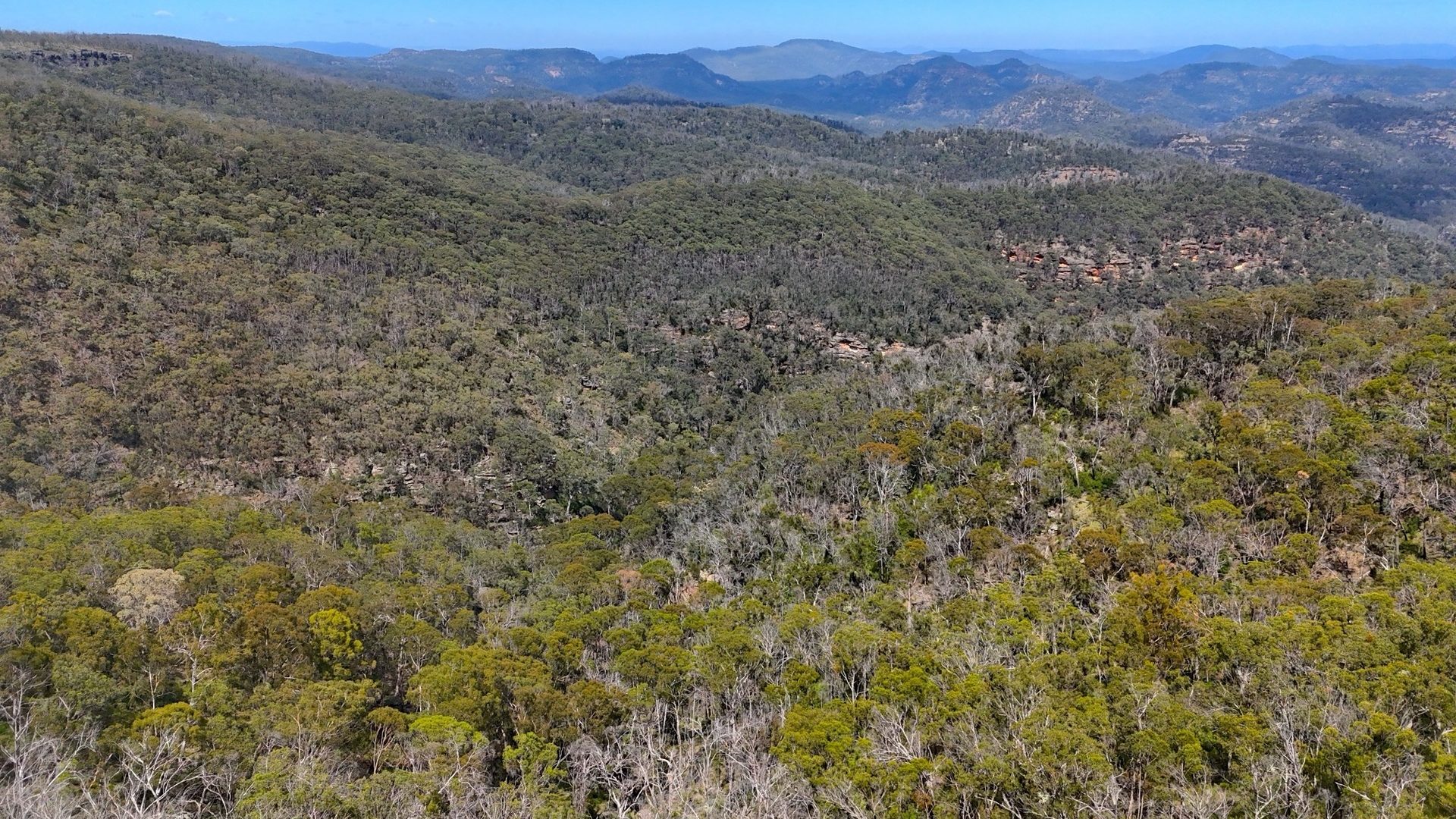 Sold - 2515 Nullo Mountain Road - New Property in Rylstone - Real Estate by Stewart Adlington
