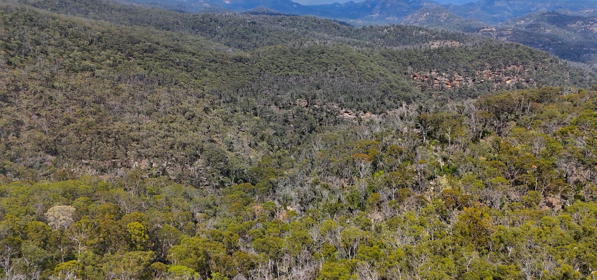Sold - 2515 Nullo Mountain Road - New Property in Rylstone - Real Estate by Stewart Adlington