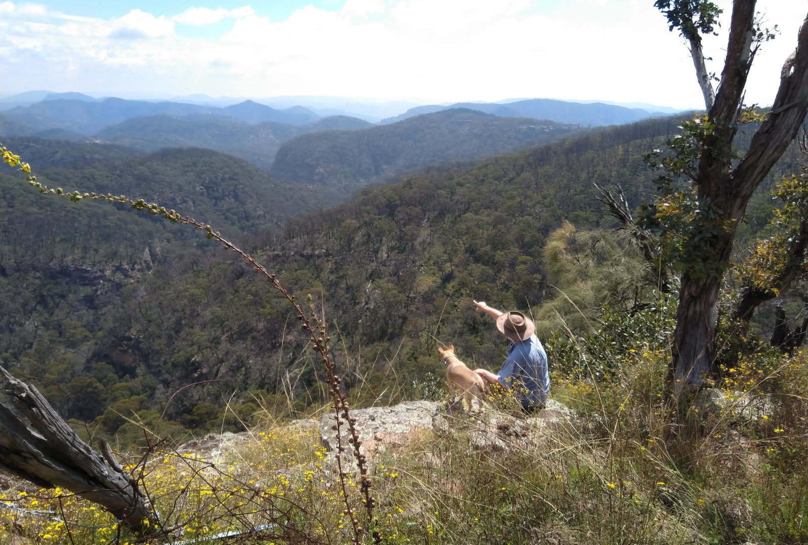 Sold - 2515 Nullo Mountain Road - New Property in Rylstone - Real Estate by Stewart Adlington