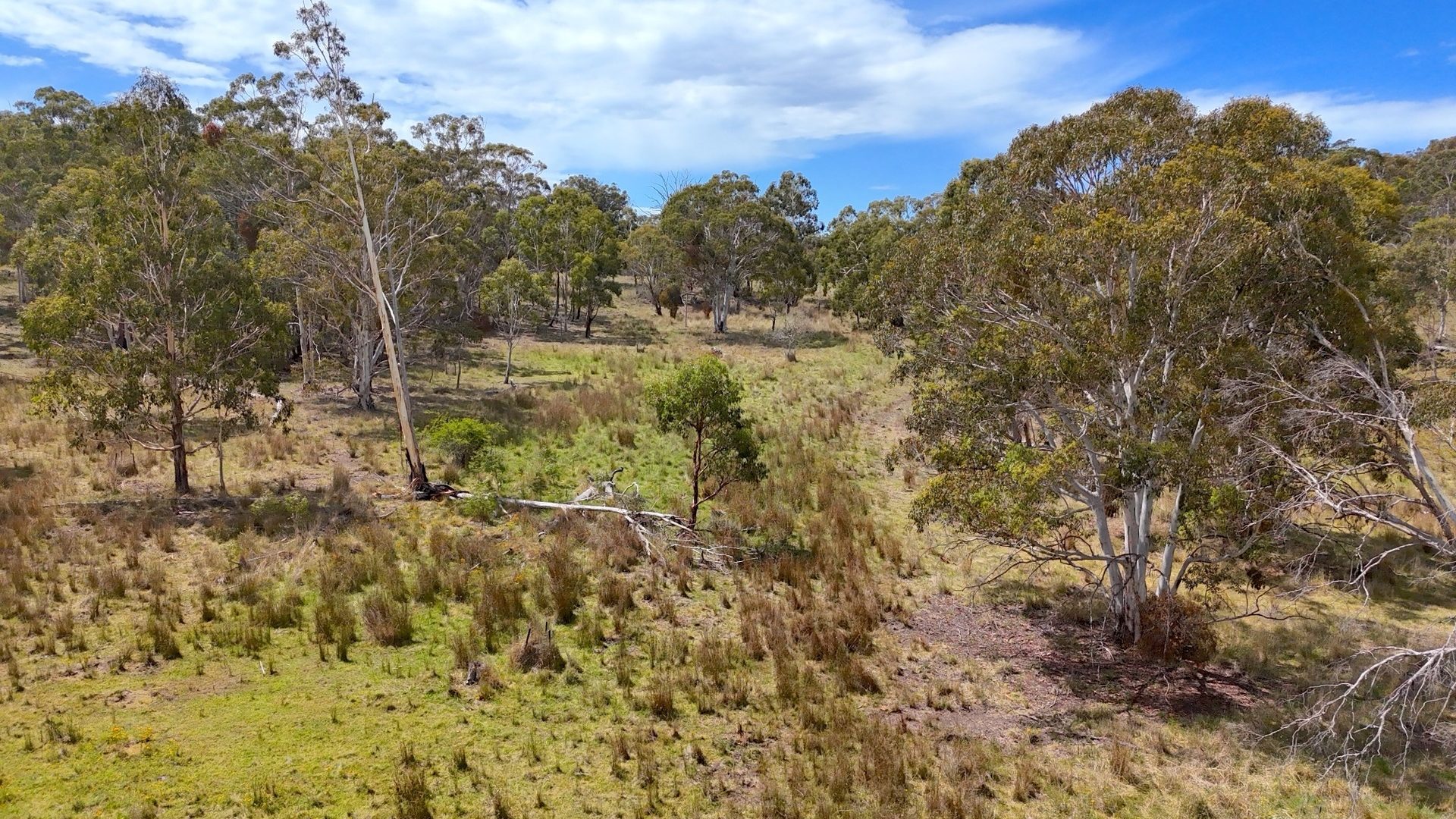 Sold - 2515 Nullo Mountain Road - New Property in Rylstone - Real Estate by Stewart Adlington