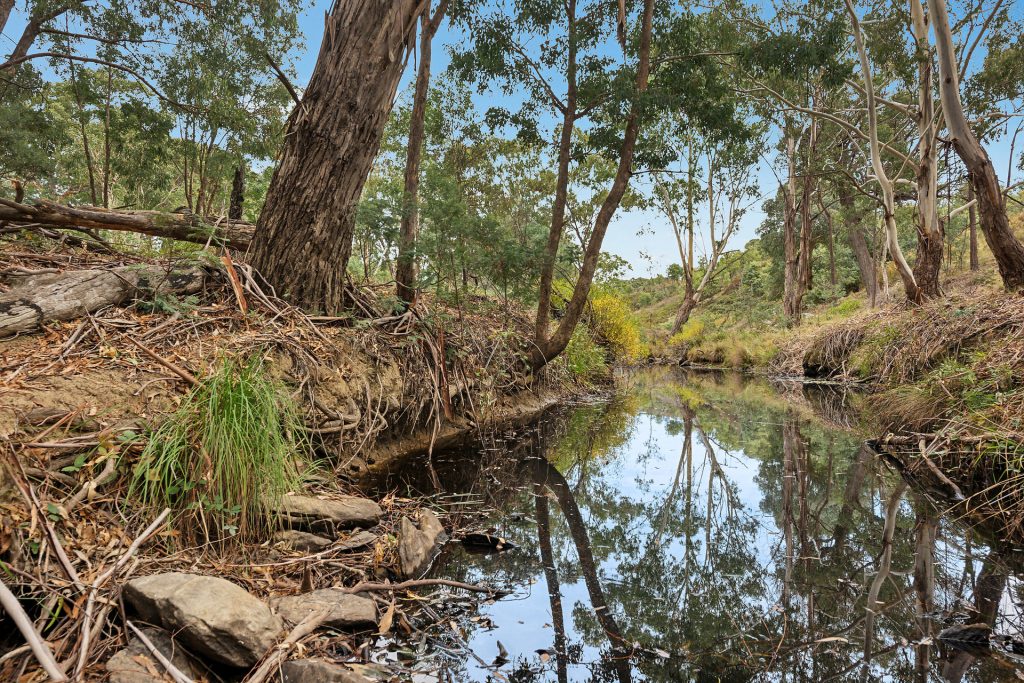 Sold - 833 Triamble Road - New Property in Mudgee - Real Estate by Stewart Adlington