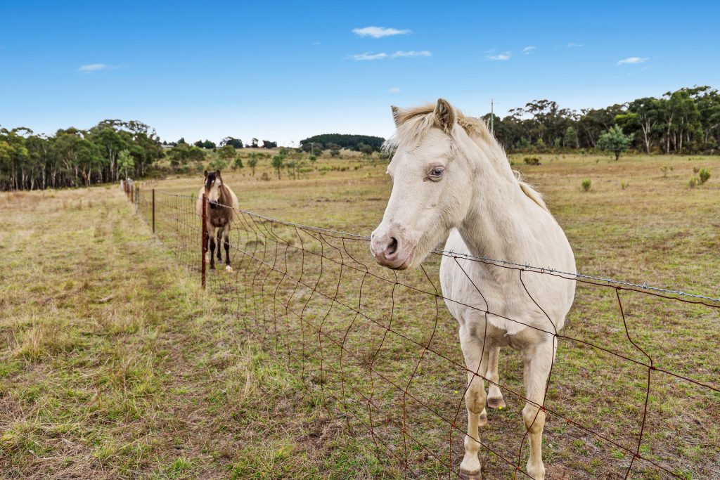 Sold - 108 Hearne Lane - New Property in Mudgee - Real Estate by Stewart Adlington