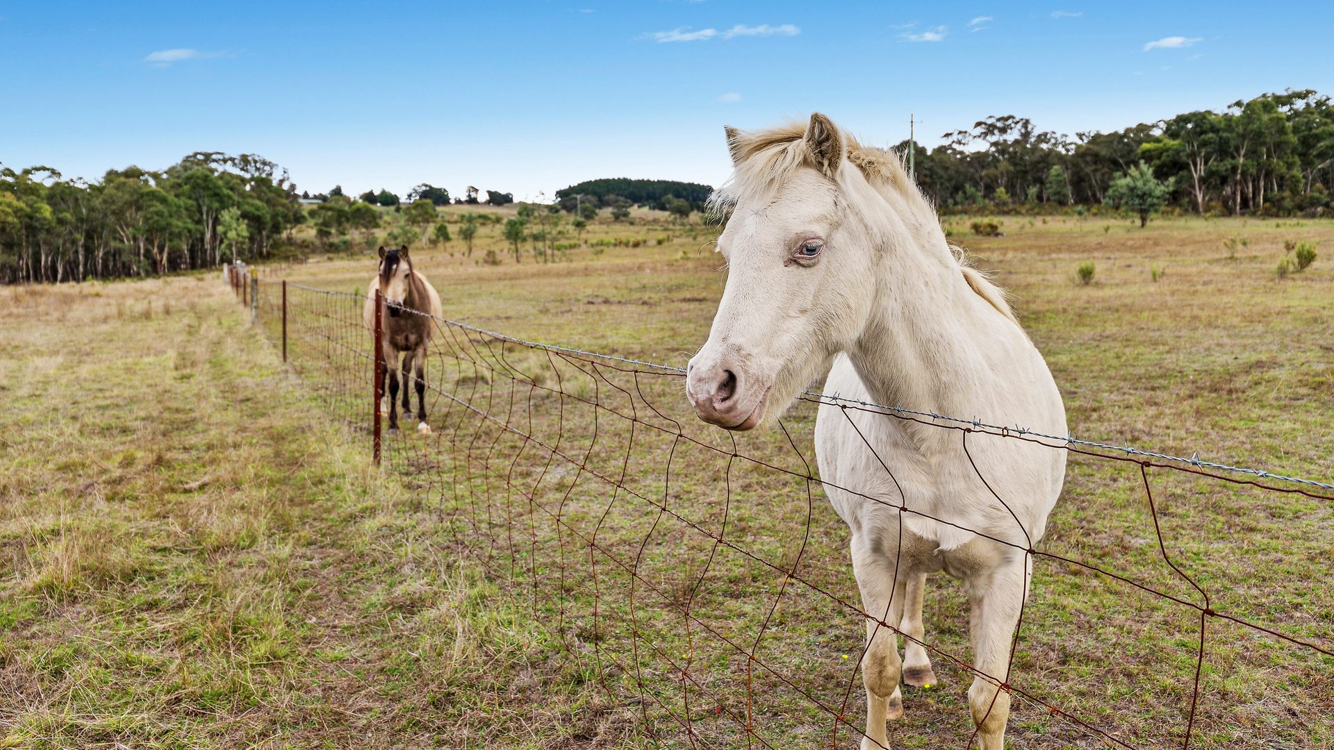 Sold - 108 Hearne Lane - New Property in Mudgee - Real Estate by Stewart Adlington