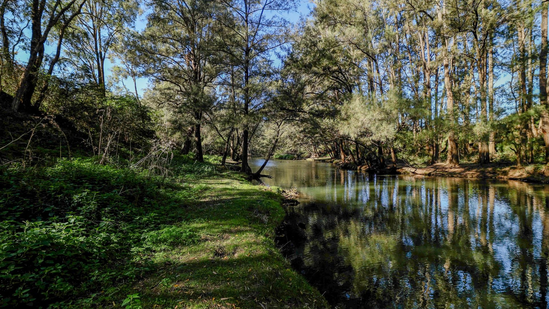 Sold - 373 Riverlea Road - New Property in Mudgee - Real Estate by Adam Sutherland