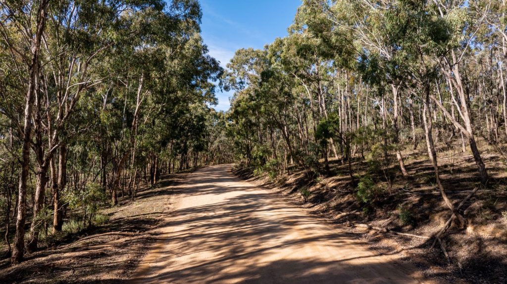 For Sale - 318 White Cedars Road - New Property in Mudgee - Real Estate by Hamish Rowe