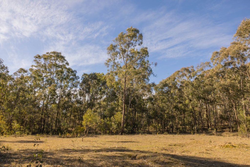 For Sale - 318 White Cedars Road - New Property in Mudgee - Real Estate by Hamish Rowe
