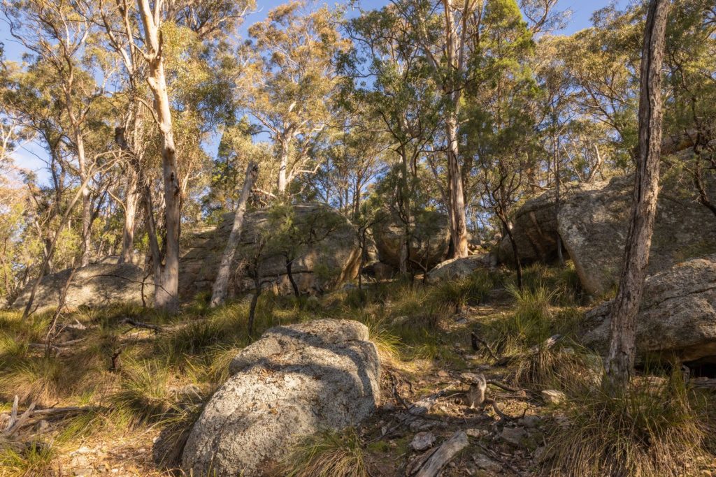 For Sale - 318 White Cedars Road - New Property in Mudgee - Real Estate by Hamish Rowe