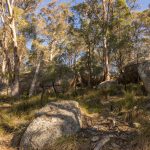 318 White Cedars Road Mudgee NSW 2850 AUS