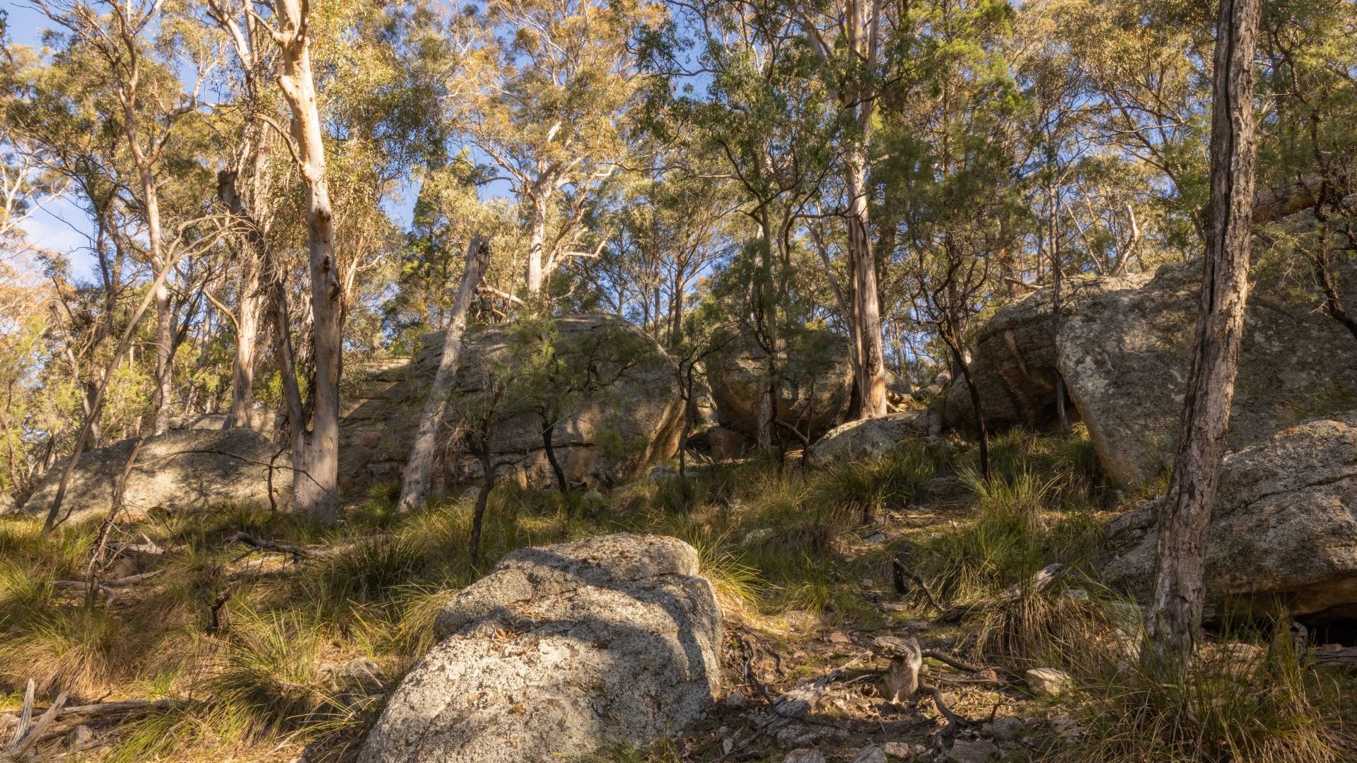 For Sale - 318 White Cedars Road - New Property in Mudgee - Real Estate by Hamish Rowe
