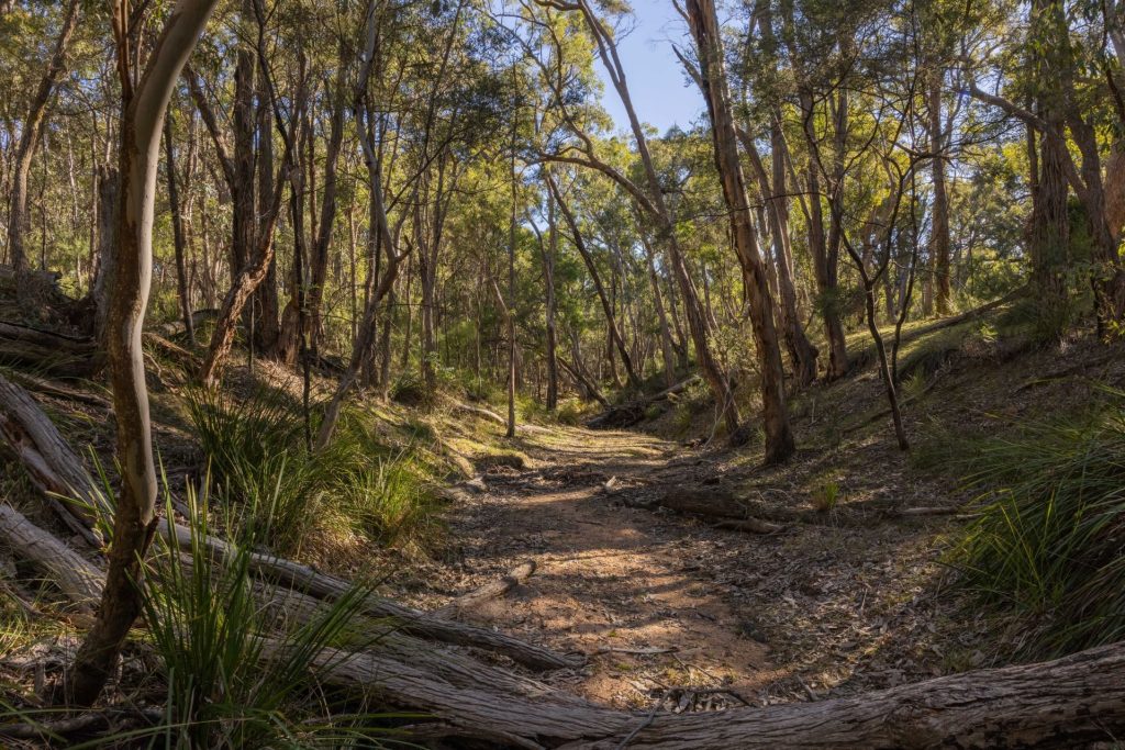 For Sale - 318 White Cedars Road - New Property in Mudgee - Real Estate by Hamish Rowe