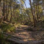 318 White Cedars Road Mudgee NSW 2850 AUS