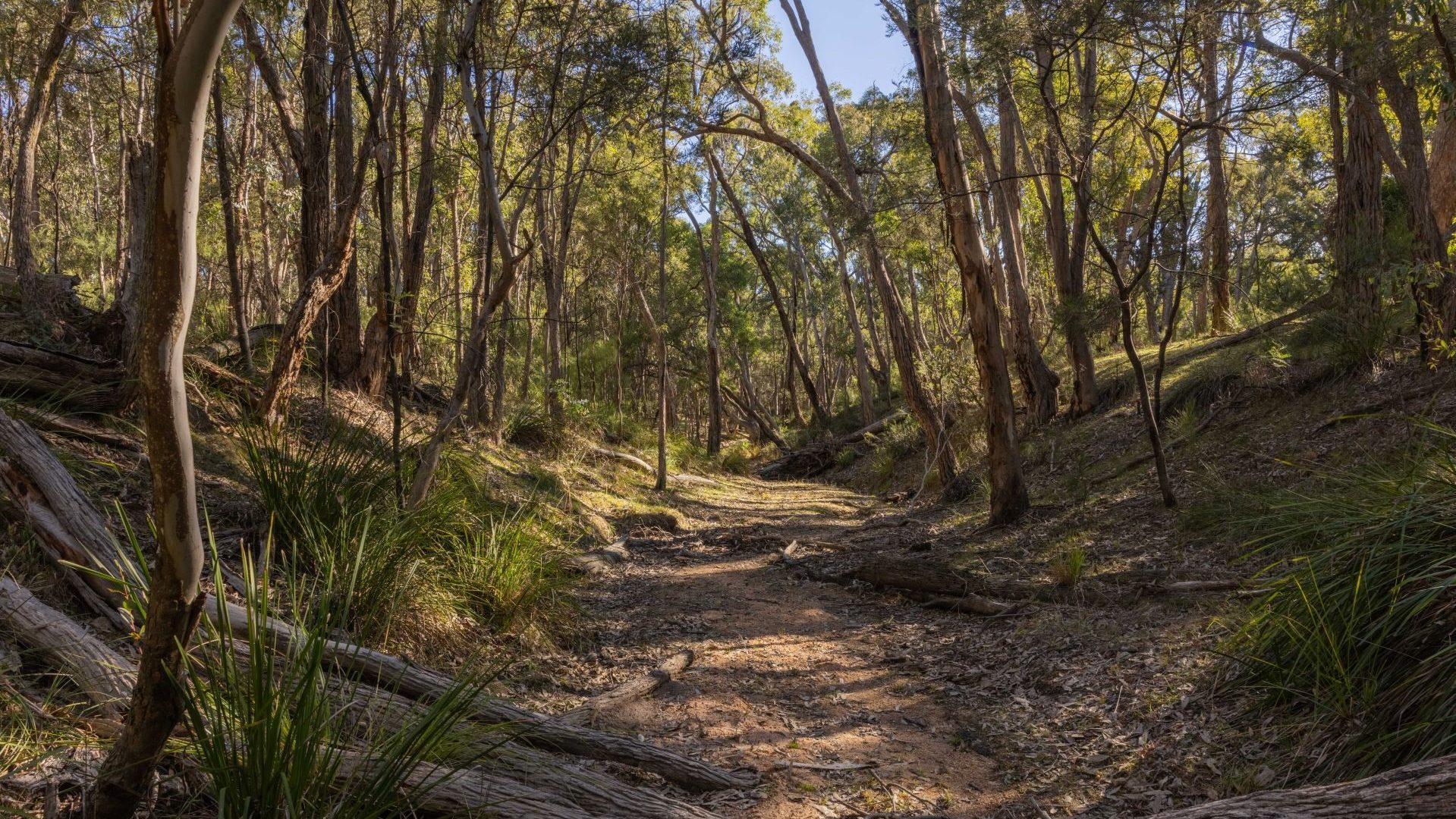 For Sale - 318 White Cedars Road - New Property in Mudgee - Real Estate by Hamish Rowe