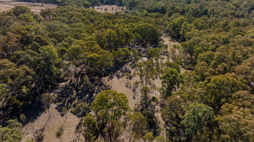 For Sale - 318 White Cedars Road - New Property in Mudgee - Real Estate by Hamish Rowe