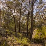 318 White Cedars Road Mudgee NSW 2850 AUS