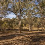 318 White Cedars Road Mudgee NSW 2850 AUS