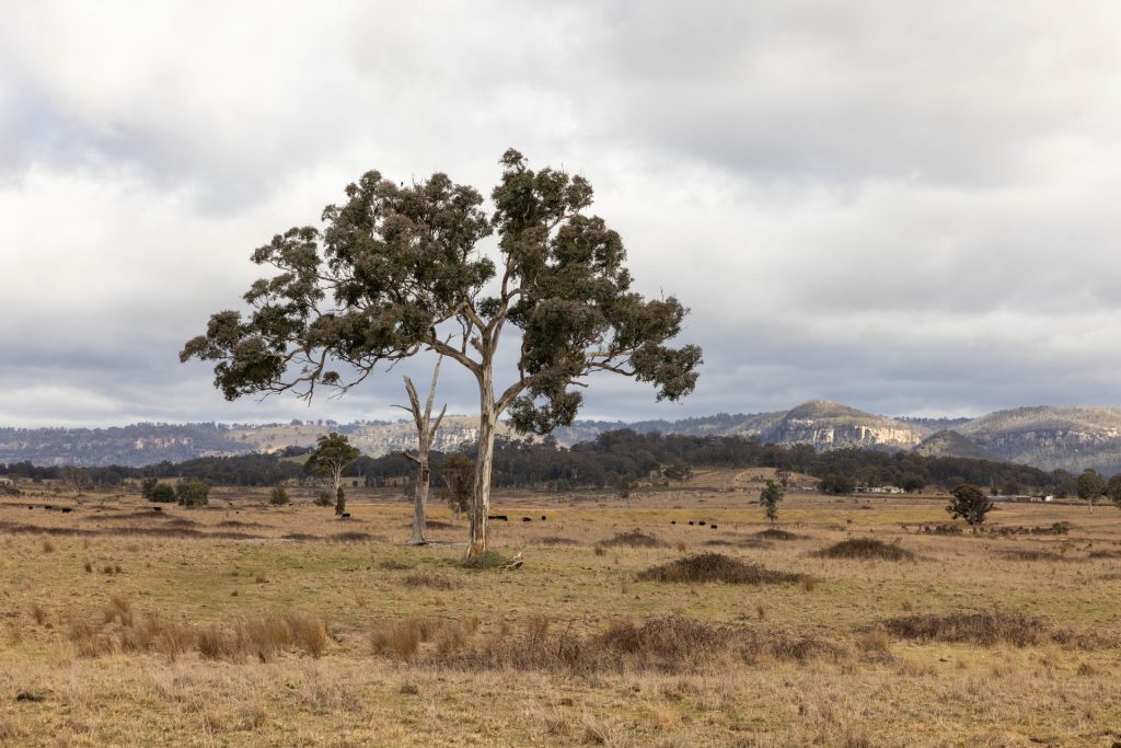Sold - 162 Mount View Road - New Property in Kandos - Real Estate by Ben Smith