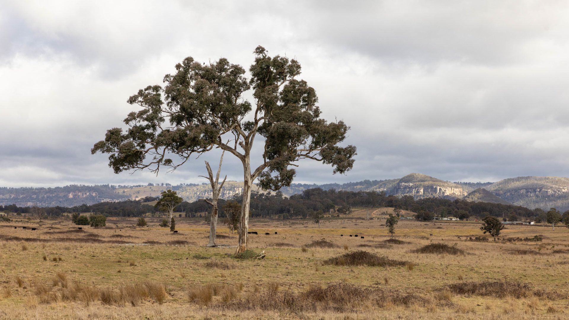 Sold - 162 Mount View Road - New Property in Kandos - Real Estate by Ben Smith