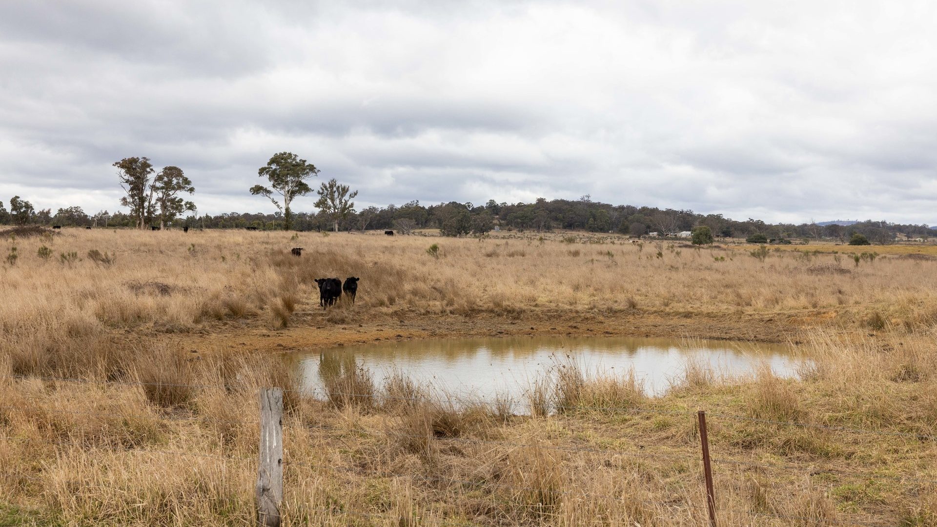 Sold - 162 Mount View Road - New Property in Kandos - Real Estate by Ben Smith