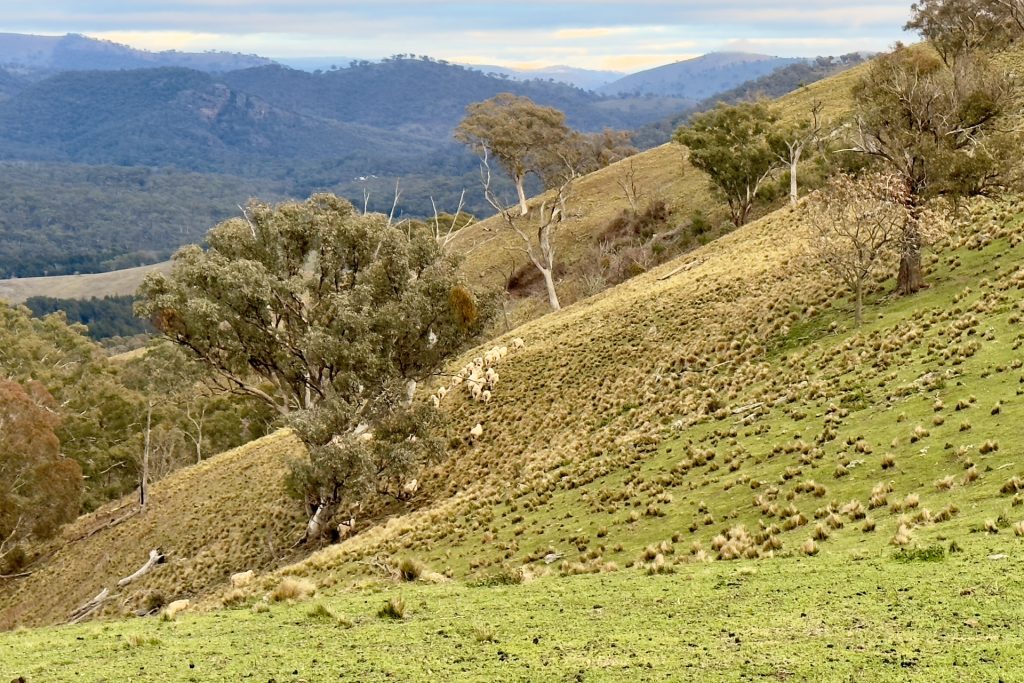 Sold - Part 4780 Ilford Sofala Road - New Property in Bathurst - Real Estate by Stewart Adlington